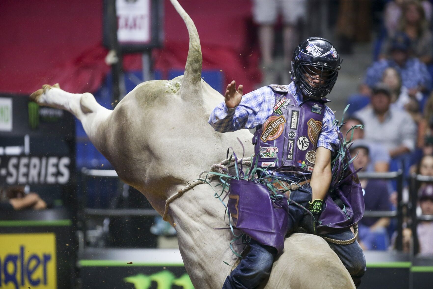 PBR Unleash The Beast
